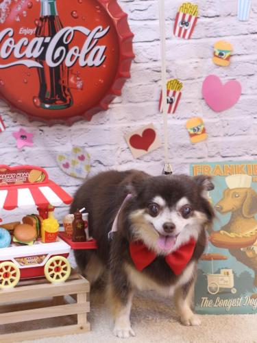 20230927ちゃこちゃん